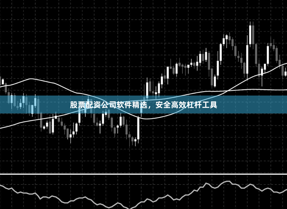 股票配资公司软件精选，安全高效杠杆工具