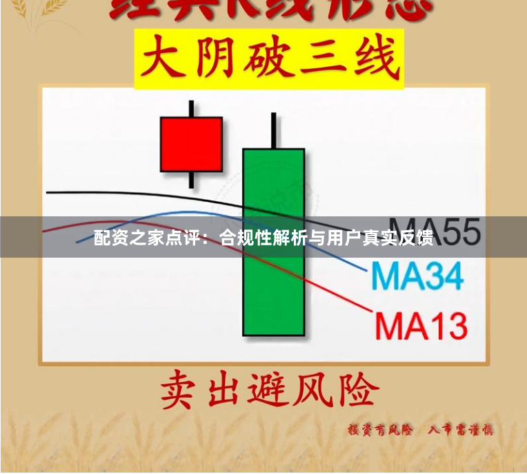 配资之家点评：合规性解析与用户真实反馈